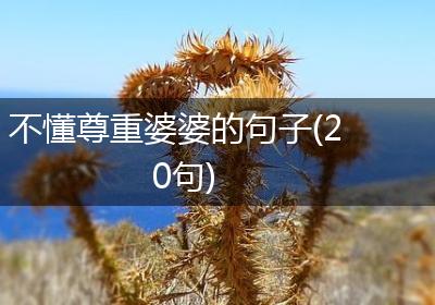 不懂尊重婆婆的句子(20句)