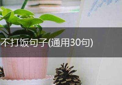 不打饭句子(通用30句)