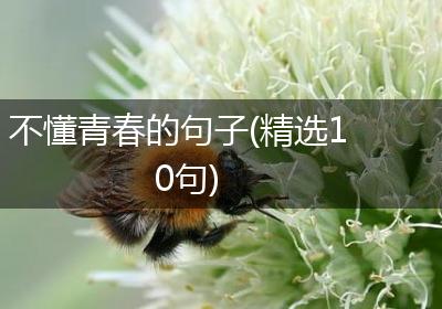 不懂青春的句子(精选10句)