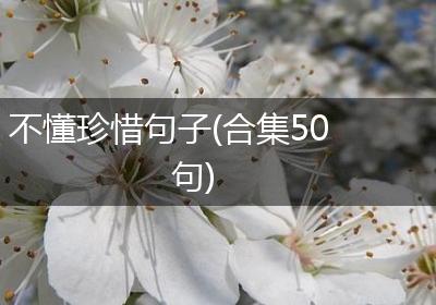 不懂珍惜句子(合集50句)