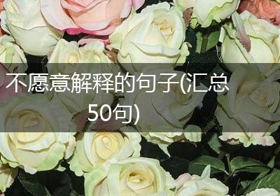不愿意解释的句子(汇总50句)