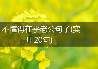 不懂得在乎老公句子(实用20句)