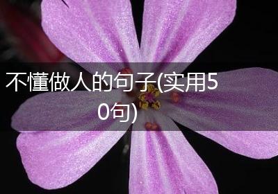 不懂做人的句子(实用50句)
