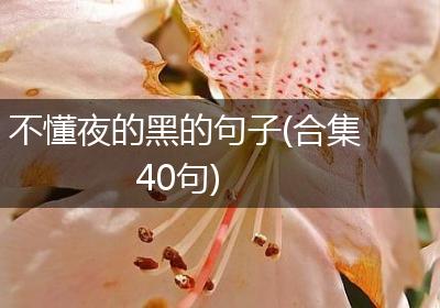 不懂夜的黑的句子(合集40句)