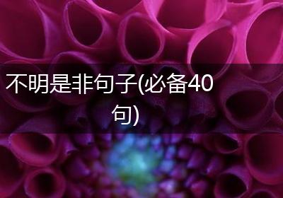 不明是非句子(必备40句)
