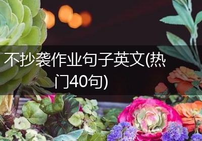 不抄袭作业句子英文(热门40句)
