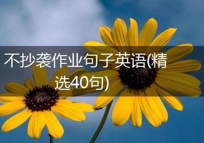 不抄袭作业句子英语(精选40句)