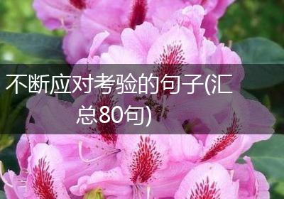 不断应对考验的句子(汇总80句)