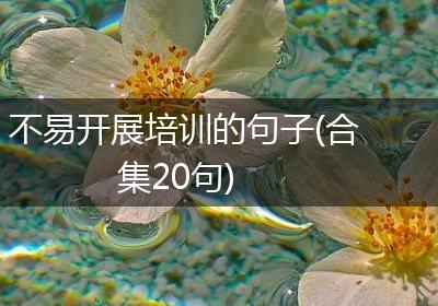不易开展培训的句子(合集20句)