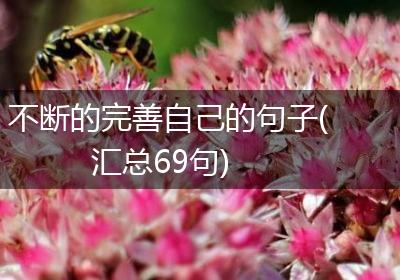 不断的完善自己的句子(汇总69句)