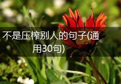 不是压榨别人的句子(通用30句)