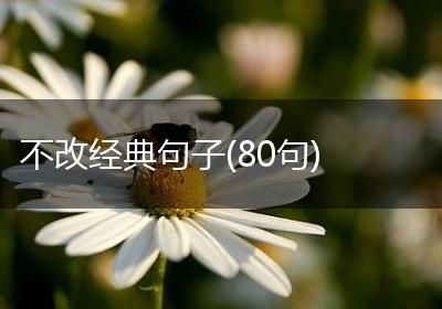 不改经典句子(80句)