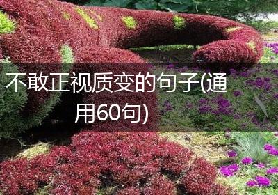 不敢正视质变的句子(通用60句)