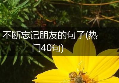 不断忘记朋友的句子(热门40句)