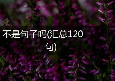 不是句子吗(汇总120句)