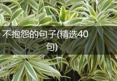 不抱怨的句子(精选40句)