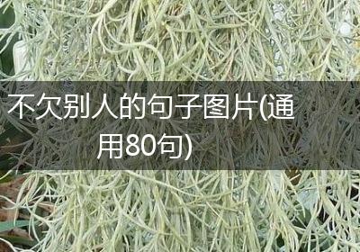 不欠别人的句子图片(通用80句)