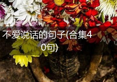 不爱说话的句子(合集40句)