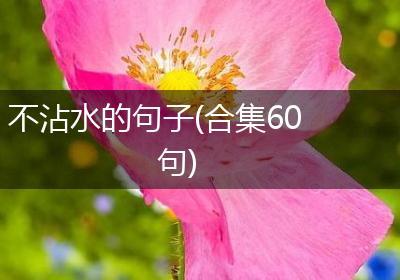 不沾水的句子(合集60句)