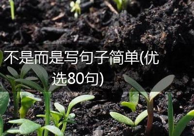 不是而是写句子简单(优选80句)