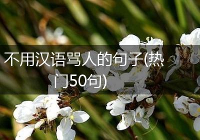 不用汉语骂人的句子(热门50句)