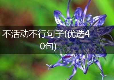 不活动不行句子(优选40句)