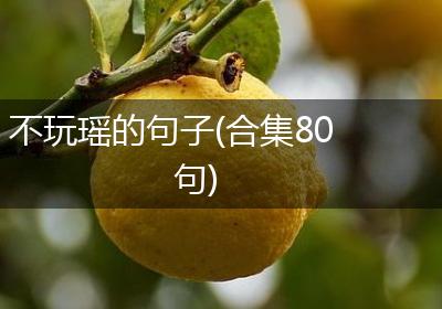不玩瑶的句子(合集80句)