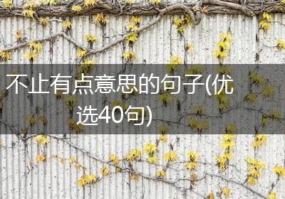不止有点意思的句子(优选40句)