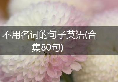 不用名词的句子英语(合集80句)