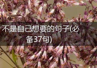 不是自己想要的句子(必备37句)