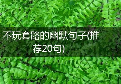 不玩套路的幽默句子(推荐20句)