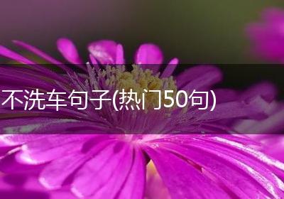 不洗车句子(热门50句)