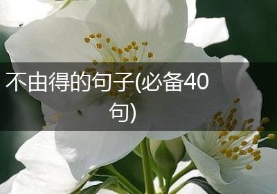不由得的句子(必备40句)