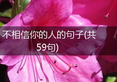 不相信你的人的句子(共59句)