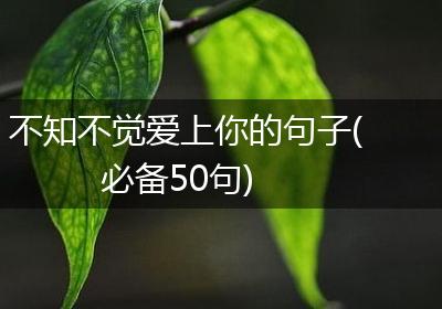 不知不觉爱上你的句子(必备50句)
