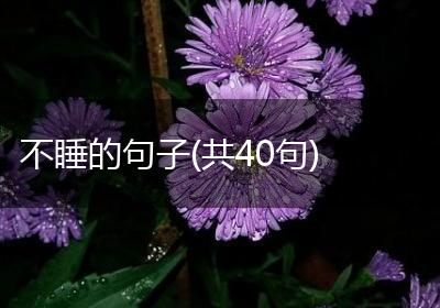 不睡的句子(共40句)