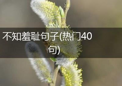 不知羞耻句子(热门40句)