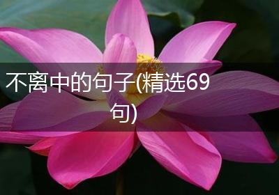 不离中的句子(精选69句)