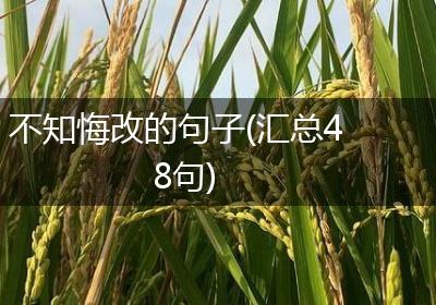 不知悔改的句子(汇总48句)