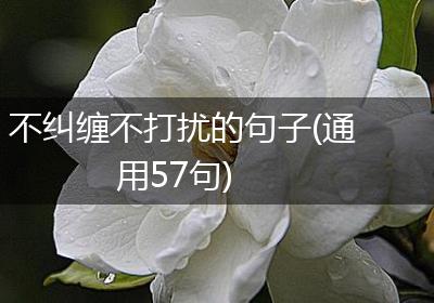 不纠缠不打扰的句子(通用57句)