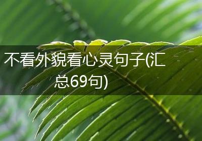 不看外貌看心灵句子(汇总69句)