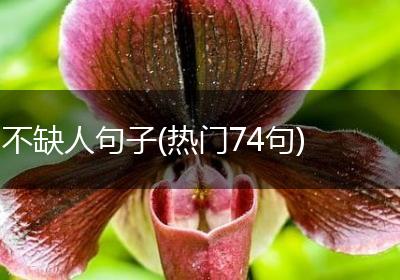 不缺人句子(热门74句)