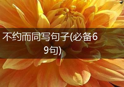 不约而同写句子(必备69句)