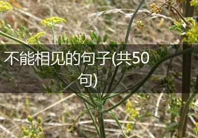 不能相见的句子(共50句)