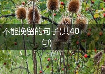 不能挽留的句子(共40句)