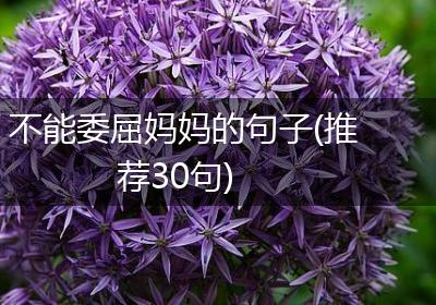 不能委屈妈妈的句子(推荐30句)