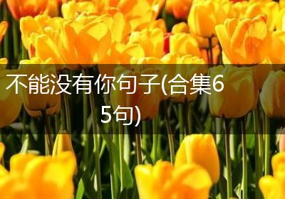 不能没有你句子(合集65句)