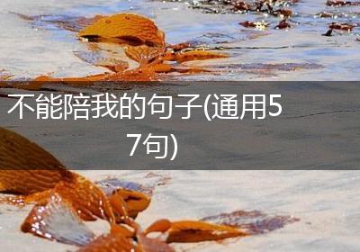 不能陪我的句子(通用57句)