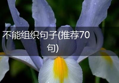 不能组织句子(推荐70句)