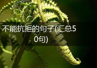 不能抗拒的句子(汇总50句)